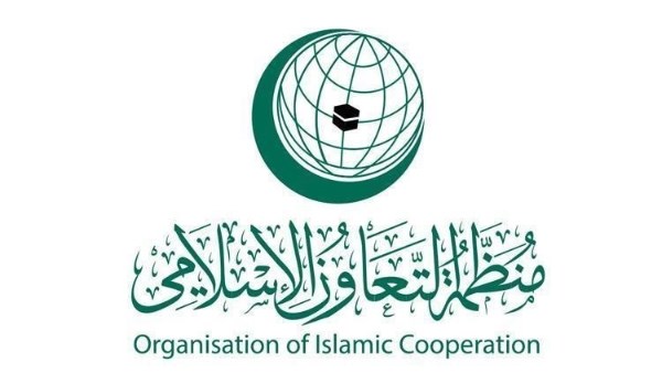 المنظمة 