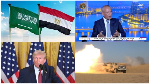 نشرة أخبار توك شو 
