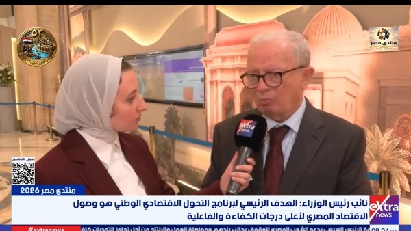 نائب رئيس مجلس الوزراء 