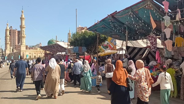 مولد سيدي إبراهيم الدسوقي