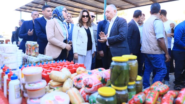 جولة وزيرة التنمية المحلية والبيئة بالوادي الجديد 