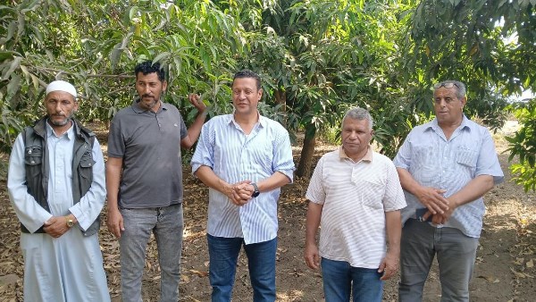 الزراعة