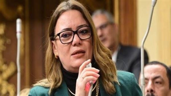رشا عبدالفتاح السيد رمضان، وكيلة لجنة الطاقة والبيئة