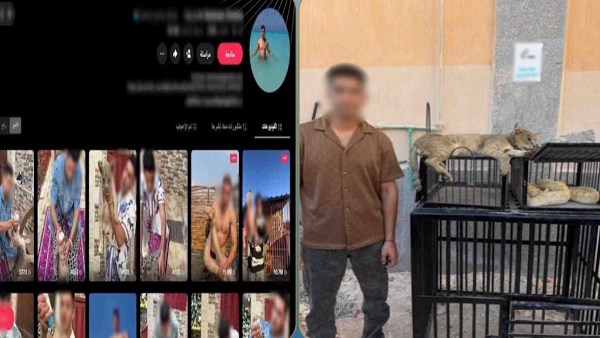 ثعابين وزواحف.. القبض على صانع محتوى بحوزته حيوانات خطرة بكفر الشيخ ثعابين وزواحف.. القبض على صانع محتوى بحوزته حيوانات خطرة بكفر الشيخ