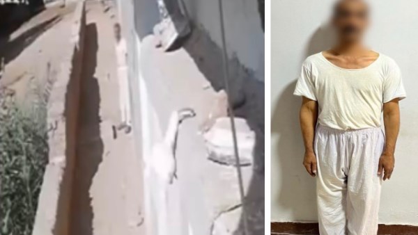 بسبب خلافات الميراث.. القبض على المتهم بالتعدي على آخر بسوهاج
