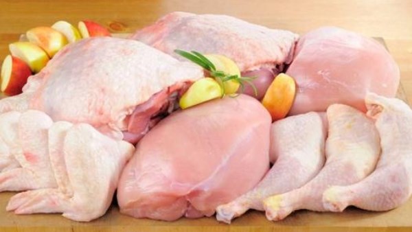 اسعار الدواجن اليوم