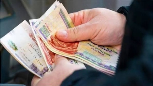معاشات شهر نوفمبر2026