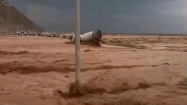 متداول 