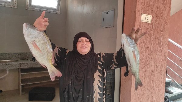 الاسماك بحلقة السمك بطور سيناء 