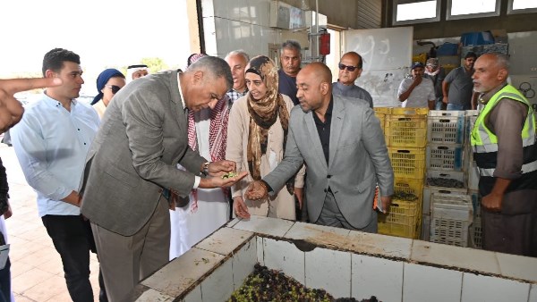 عصر الزيتون براس سدر 