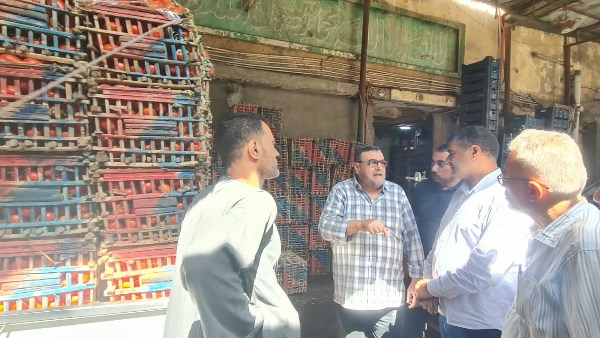 نائب محافظ الدقهلية