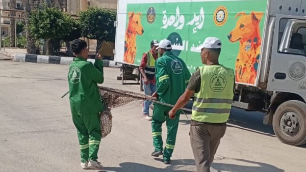 حملات بيطرية