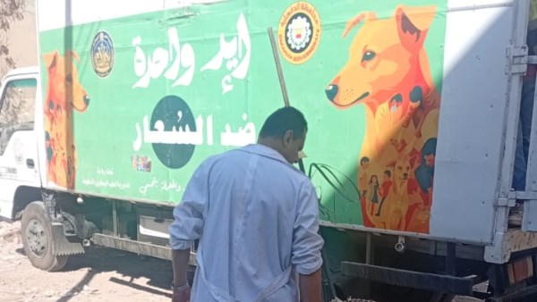 محافظ الدقهلية يتابع حملات مواجهة الكلاب الضالة بحي غرب المنصورة