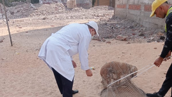 حملات بيطرية