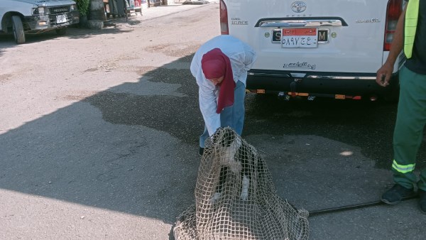 حملات بيطرية