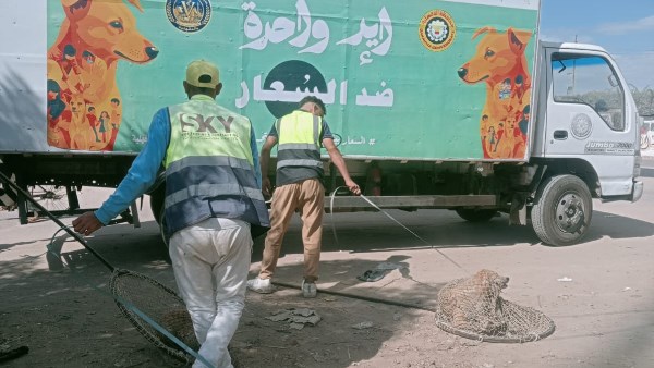 حملات ببطرية 