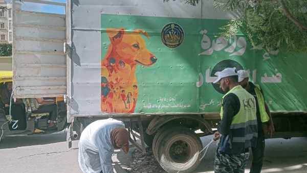 الدقهلية.. تكثيف الحملات بالمناطق الأكثر تعرضا لانتشار الكلاب الضالة الدقهلية.. تكثيف الحملات بالمناطق الأكثر تعرضا لانتشار الكلاب الضالة