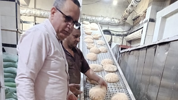 حملات تمونية 