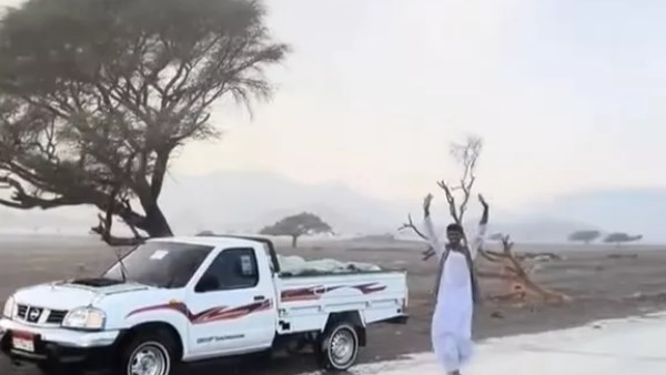 صورة موضوعية