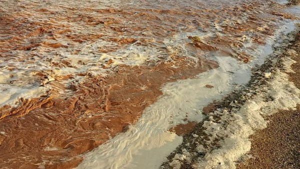 صورة موضوعية