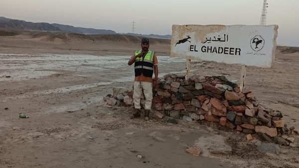 صورة موضوعية
