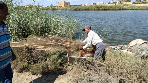 صون المرارد الطبيعية 