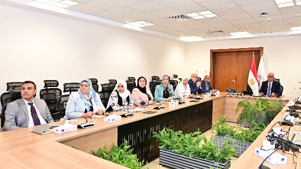 التوأمة الرقمية لترعة الإسماعيلية