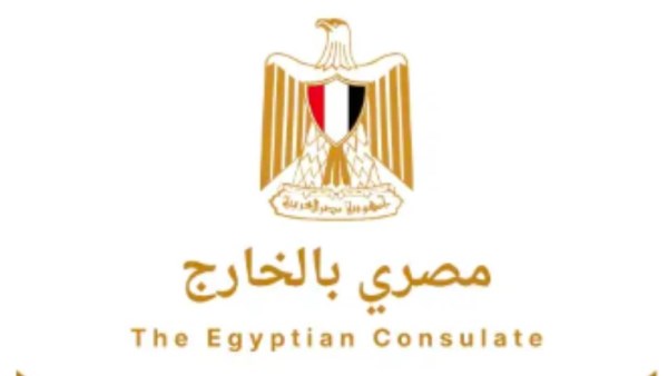 تطبيق مصري بالخارج.. تفاصيل أول منصة للخدمات القنصلية للمصريين