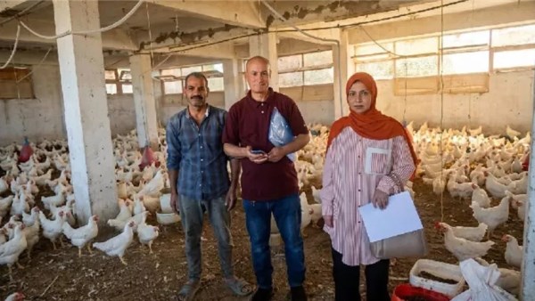 مزرعة دواجن بالبحيرة