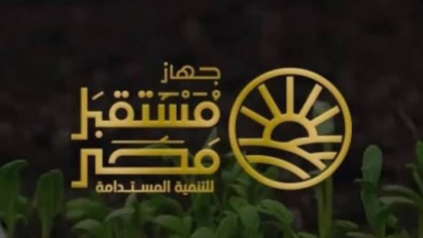 "جهاز مستقبل مصر": ننفذ 19 ألف كيلومتر من شبكات الكهرباء بالدلتا الجديدة لدعم مشروعات التنمية