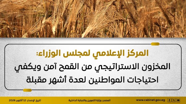 إعلامي مجلس الوزراء: المخزون الاستراتيجي من القمح آمن ويكفي احتياجات المواطنين لعدة أشهر مقبلة
