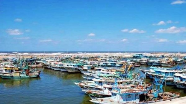 إعادة فتح ميناء برج البرلس واستئناف حركة الصيد عقب تحسن الطقس