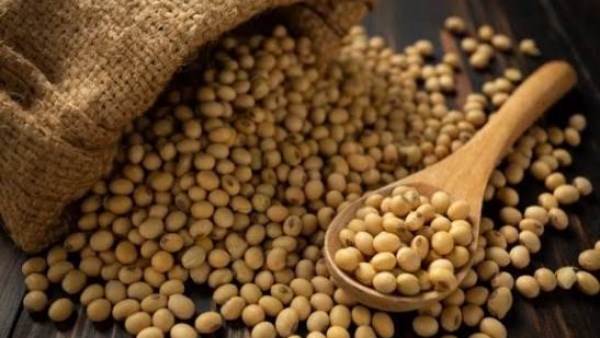 توجو والصين تبرمان اتفاقية لفتح السوق الصينية أمام صادرات فول الصويا التوجولي