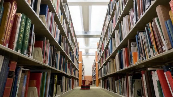 متحف أمريكي يطلق مبادرة "مكتبة الفن الإفريقي"
