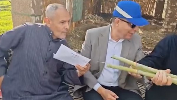 محافظ المنيا