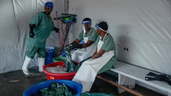 إيبولا يثير القلق في شرق إفريقيا.. كينيا تسجل 4 إصابات جديدة وترفع الإجمالي إلى 7 حالات إيبولا يثير القلق في شرق إفريقيا.. كينيا تسجل 4 إصابات جديدة وترفع الإجمالي إلى 7 حالات