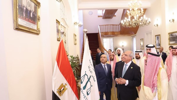 مجلس الدولة