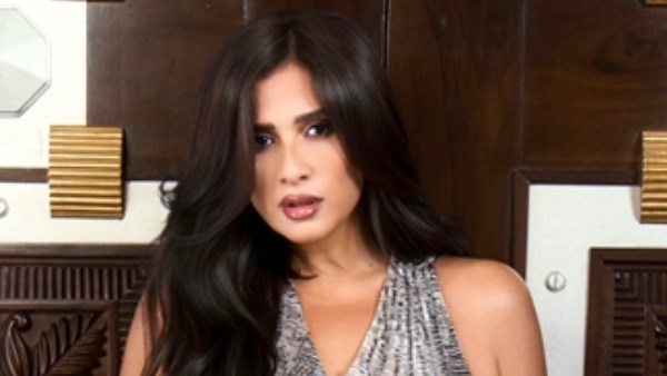 الفنانة ياسمين عبد العزيز 