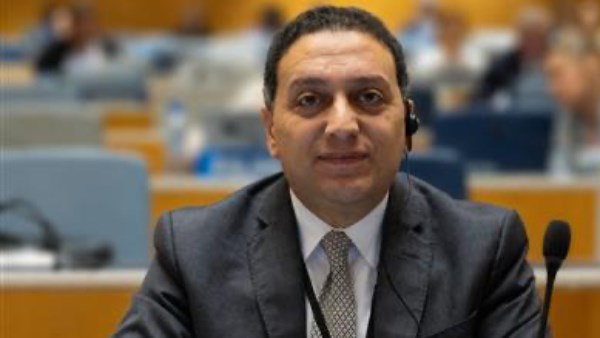 المستشار محمد عادل