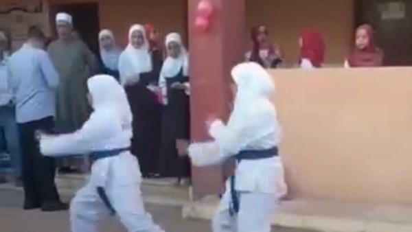 عروض معهد جزيرة دلهمو 