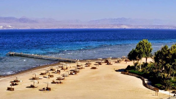 أرشيفية 