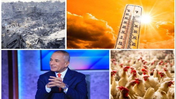 اخبار التوك شو