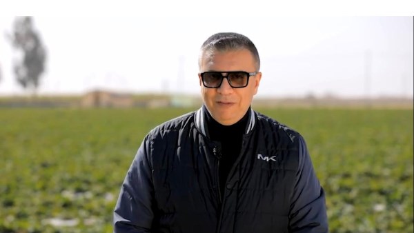 عمرو الليثي 