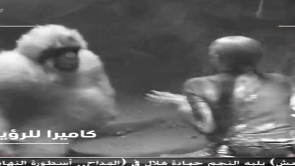 رامز جلال يرتدي غوريلا .. ويتسبب في ذهول غادة عبد الرازق رامز جلال يرتدي غوريلا .. ويتسبب في ذهول غادة عبد الرازق