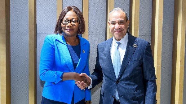 جانب من اللقاء 