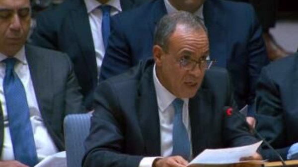 وزير الخارجية 