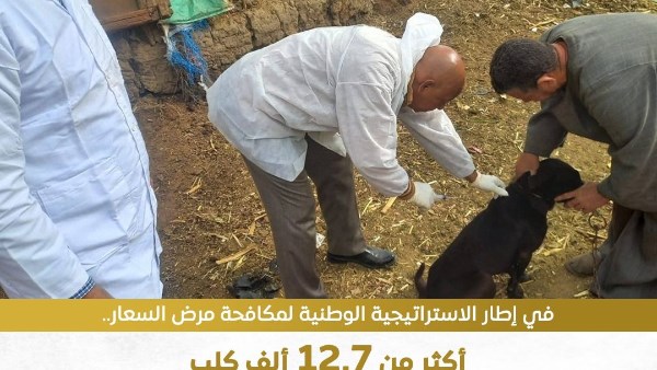 استمرار جهود الهيئة العامة للخدمات البيطرية