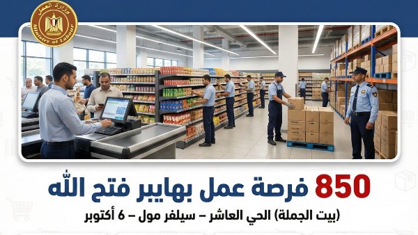 فرص العمل المتاحة 