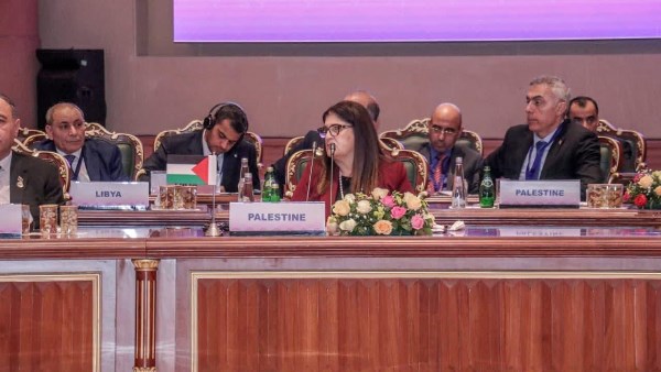 فارسين أغابيكان شاهين، وزيرة الخارجية والمغتربين