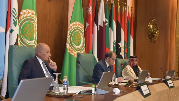 أعمال الدورة 117 للمجلس الاقتصادي والاجتماعي 